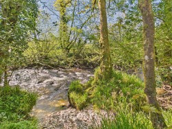 Llanycefn, Clynderwen, SA66