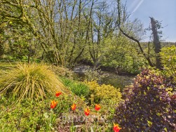 Llanycefn, Clynderwen, SA66