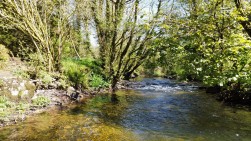 Llanycefn, Clynderwen, SA66