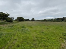 Little Newcastle, Haverfordwest, SA62