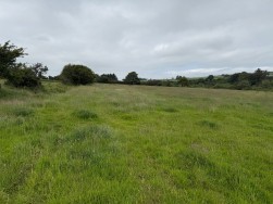 Little Newcastle, Haverfordwest, SA62