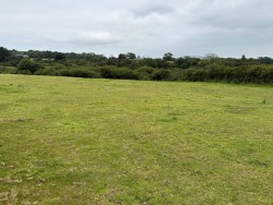 Little Newcastle, Haverfordwest, SA62