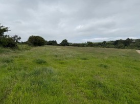 Little Newcastle, Haverfordwest, SA62