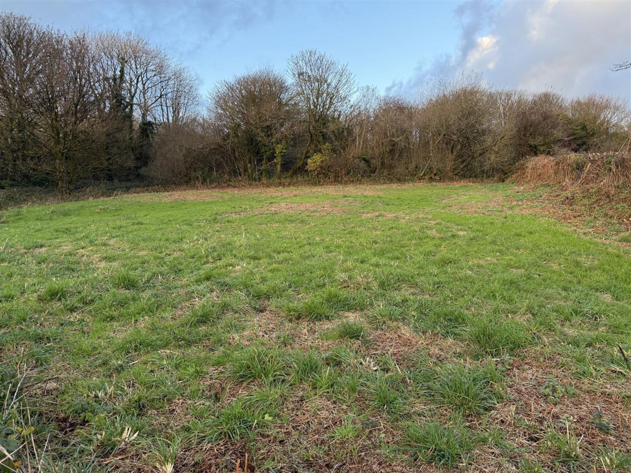 At New Holmus, Little Newcastle, SA62