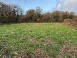 At New Holmus, Little Newcastle, SA62