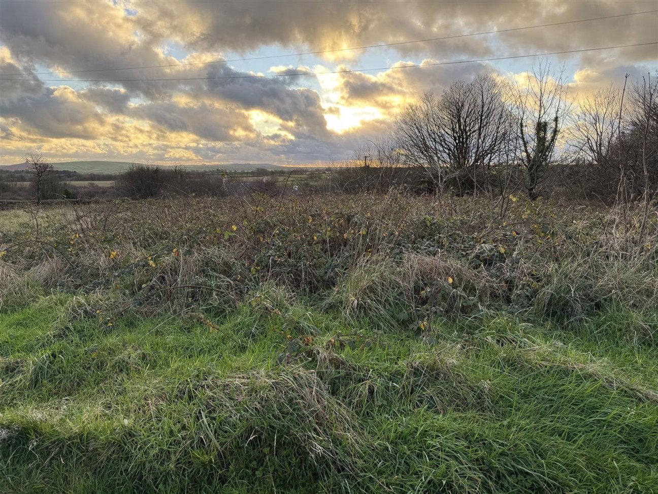 At New Holmus, Little Newcastle, SA62