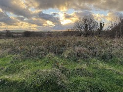 At New Holmus, Little Newcastle, SA62