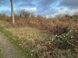 At New Holmus, Little Newcastle, SA62