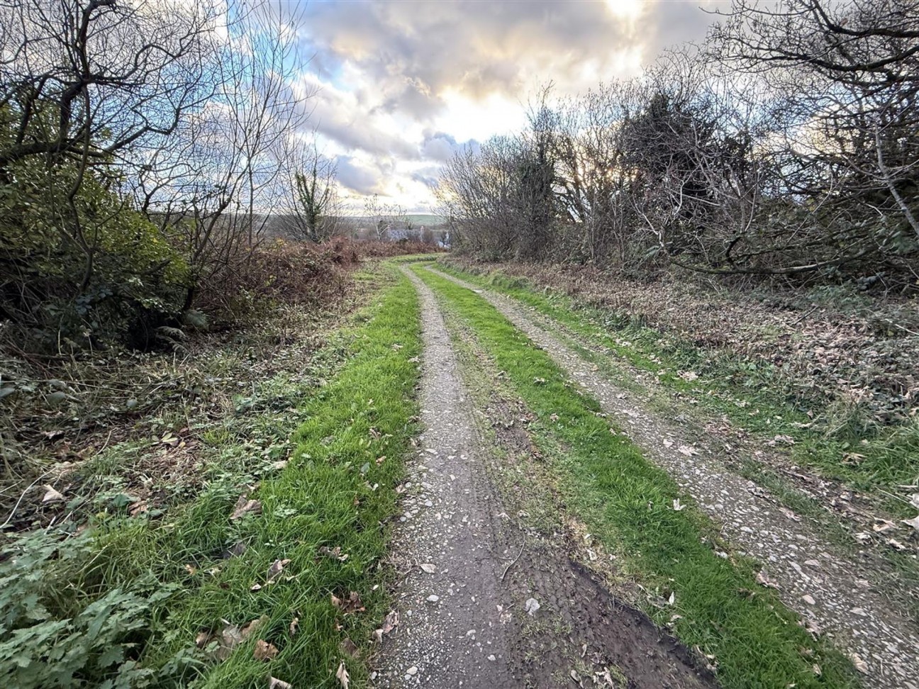 At New Holmus, Little Newcastle, SA62