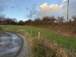 At New Holmus, Little Newcastle, SA62