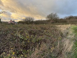 At New Holmus, Little Newcastle, SA62