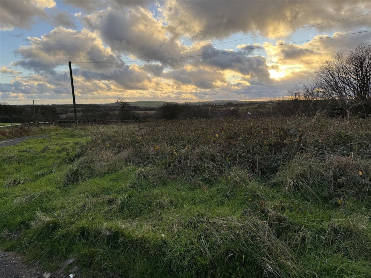 At New Holmus, Little Newcastle, SA62