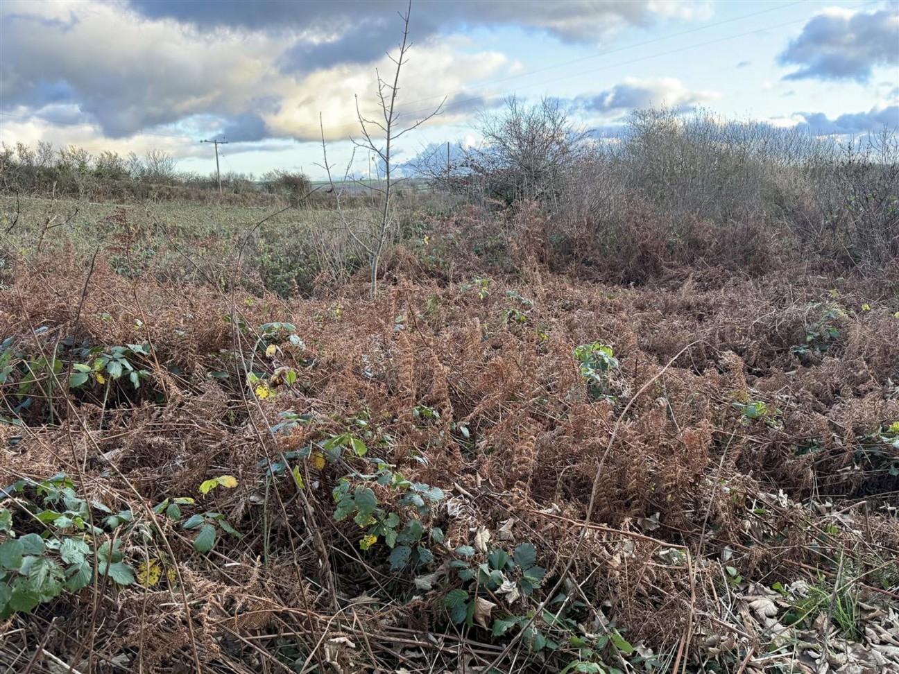 At New Holmus, Little Newcastle, SA62