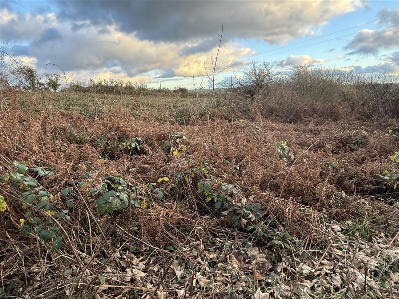 At New Holmus, Little Newcastle, SA62