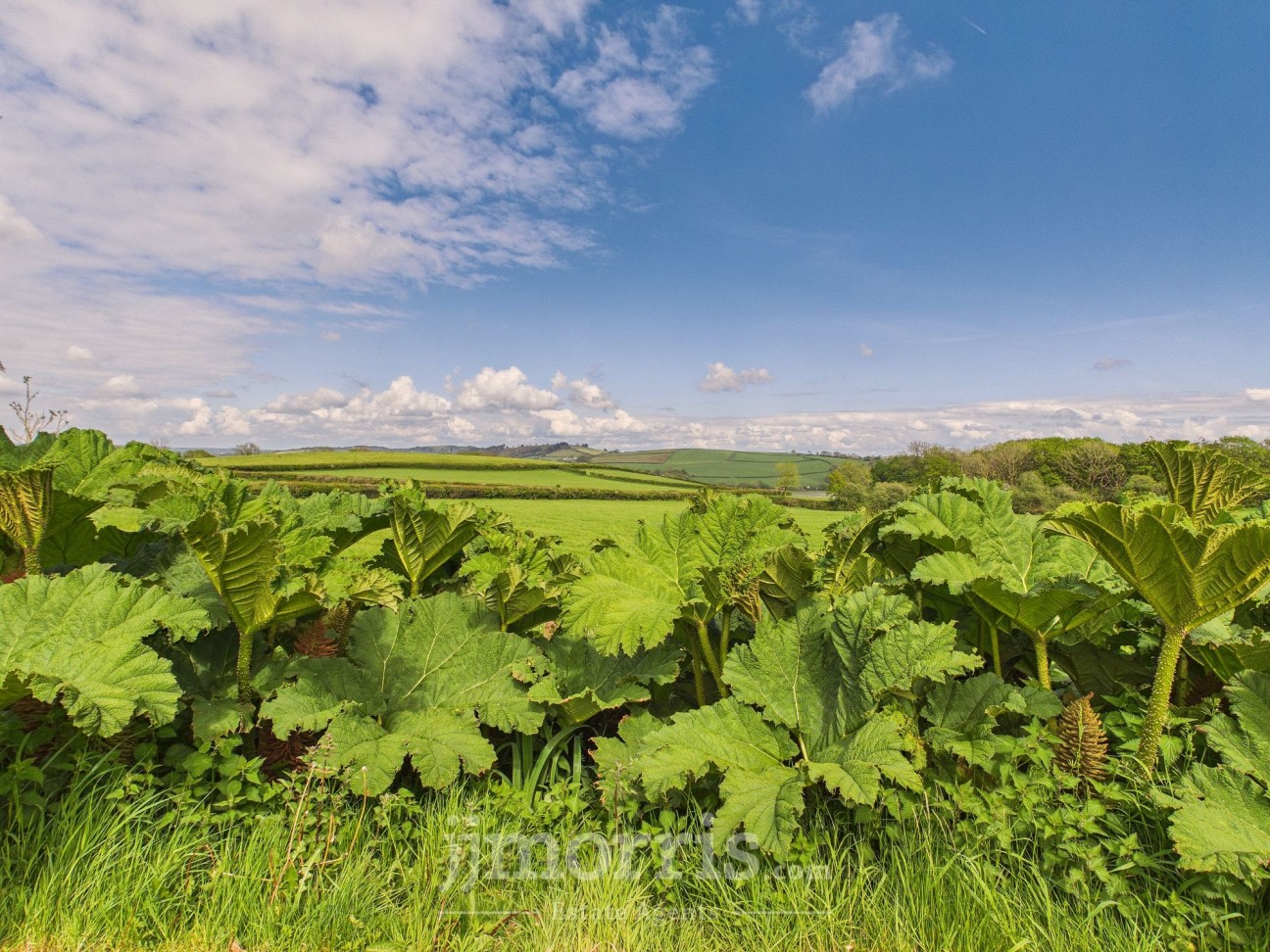Laugharne, Carmarthen, SA33