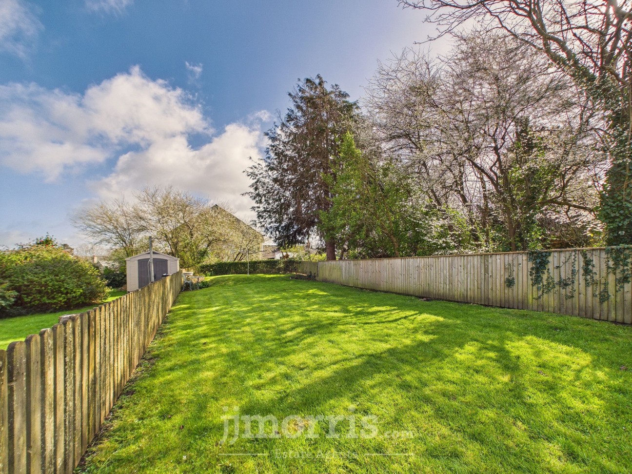 Long Street, Newport, SA42