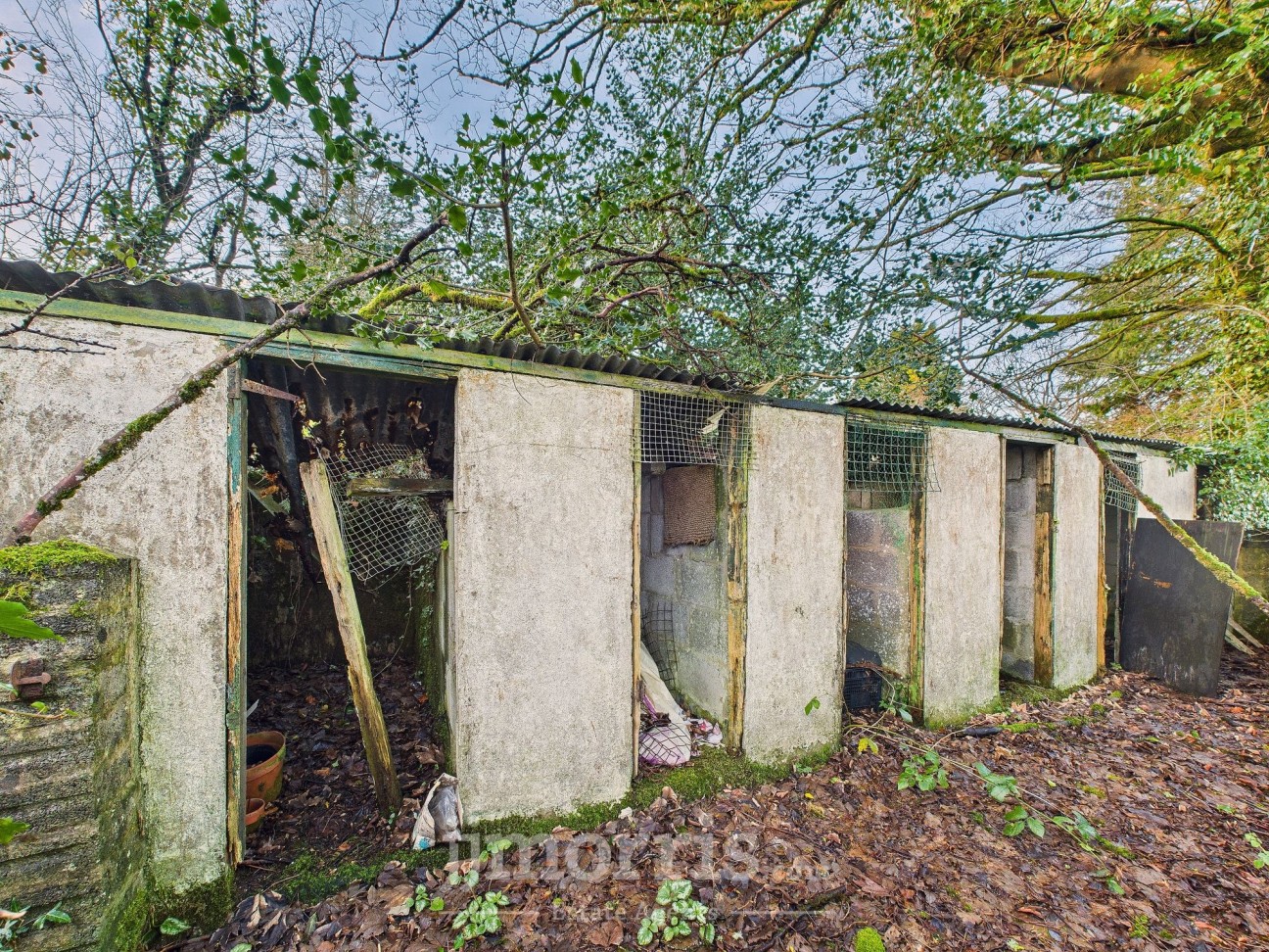 Tegryn, Llanfyrnach, SA35