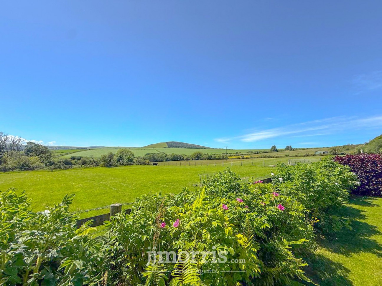 Tegryn, Llanfyrnach, SA35