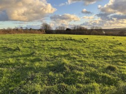 At New Holmus, Little Newcastle, SA62