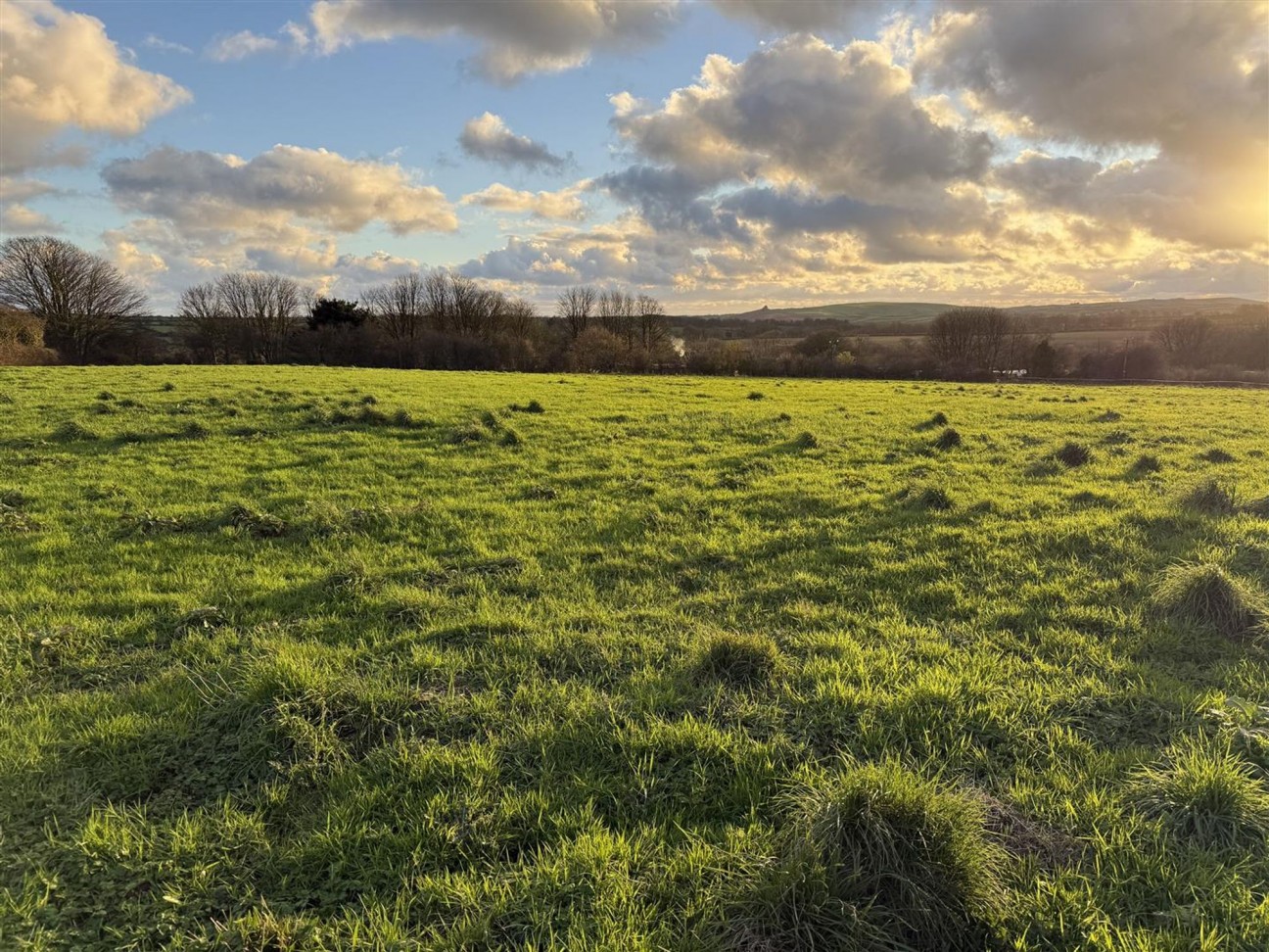 At New Holmus, Little Newcastle, SA62