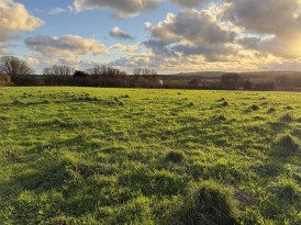 At New Holmus, Little Newcastle, SA62