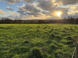 At New Holmus, Little Newcastle, SA62