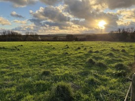 At New Holmus, Little Newcastle, SA62