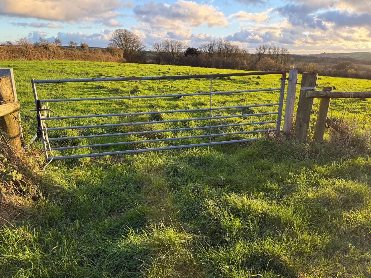 At New Holmus, Little Newcastle, SA62