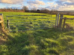 At New Holmus, Little Newcastle, SA62