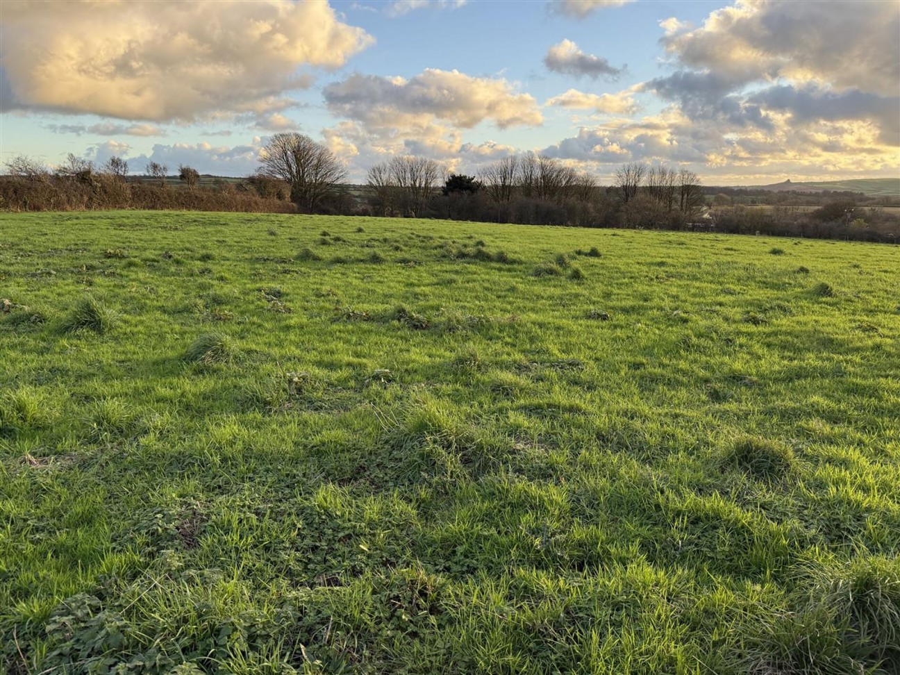 At New Holmus, Little Newcastle, SA62