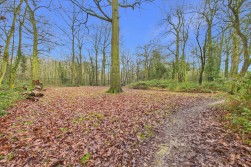 Woodland Walk | Northampton | NN3
