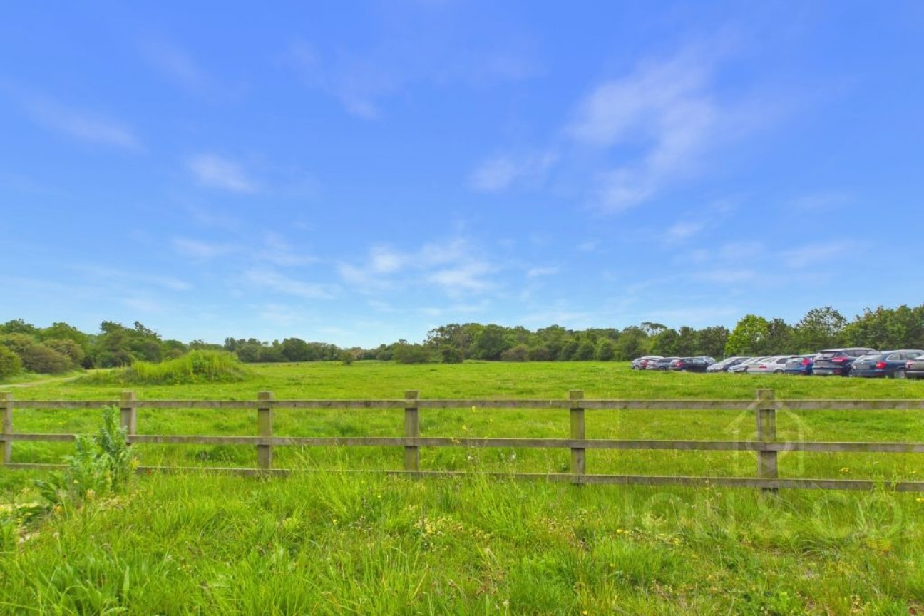 Black Cat Street | Upton | NN5