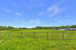 Black Cat Street | Upton | NN5