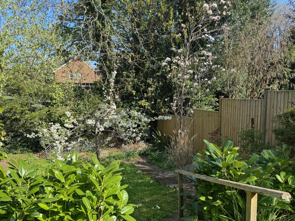 Avenue Road, Kenilworth