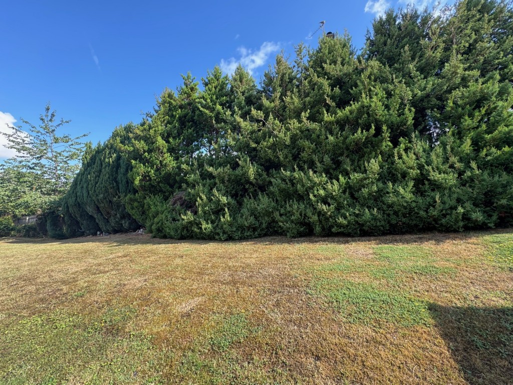 Adcock Drive, Kenilworth