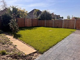 Tulip Tree Avenue, Kenilworth