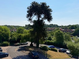Alpine Court, Kenilworth