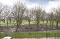 Image for Martello Street, E8