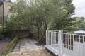 Image for Cricketfield Road, E5