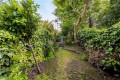 Image for Colvestone Crescent, E8