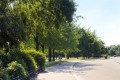 Image for Southborough Road, E9