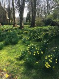 Image for Park Road, Buxton