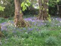 Image for Park Road, Buxton