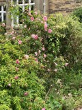 Image for Park Road, Buxton