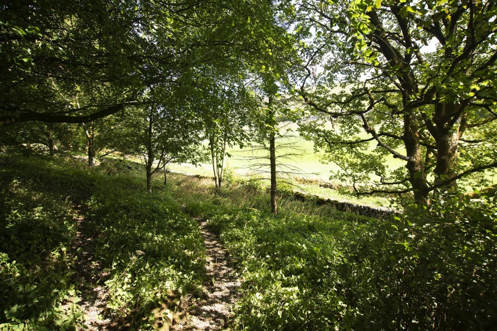 Image for Earl Sterndale, Buxton