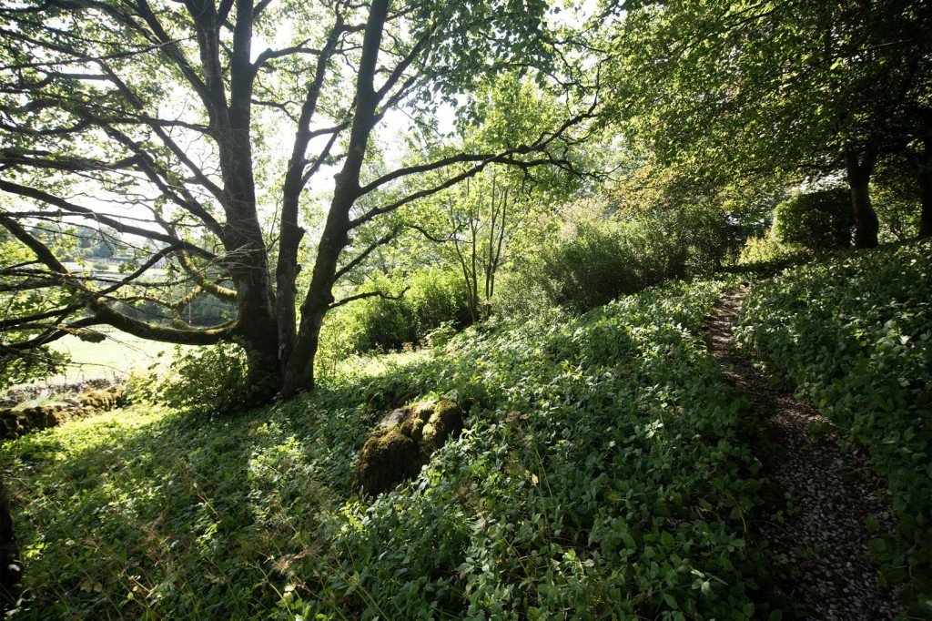 Image for Earl Sterndale, Buxton