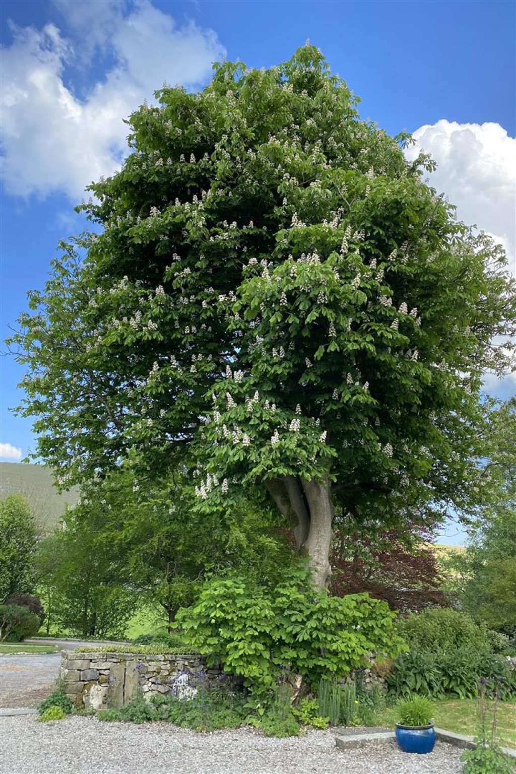 Image for Earl Sterndale, Buxton