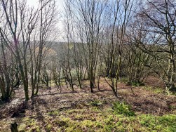 Meadowlands, Woolwell, Plymouth, PL6 7RR