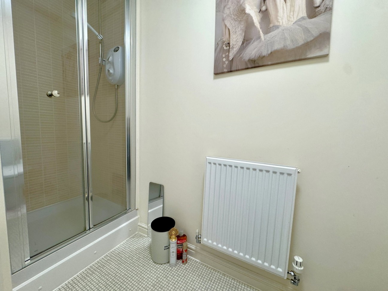 Pintail Way, Derriford, Plymouth, PL6 8EH