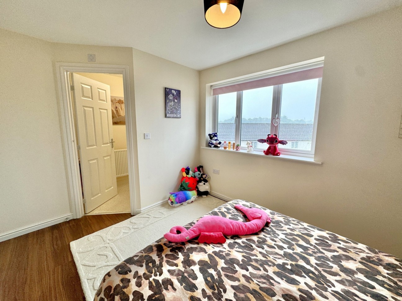 Pintail Way, Derriford, Plymouth, PL6 8EH